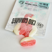 Load image into Gallery viewer, CBD Gummy 250mg, Watermelon